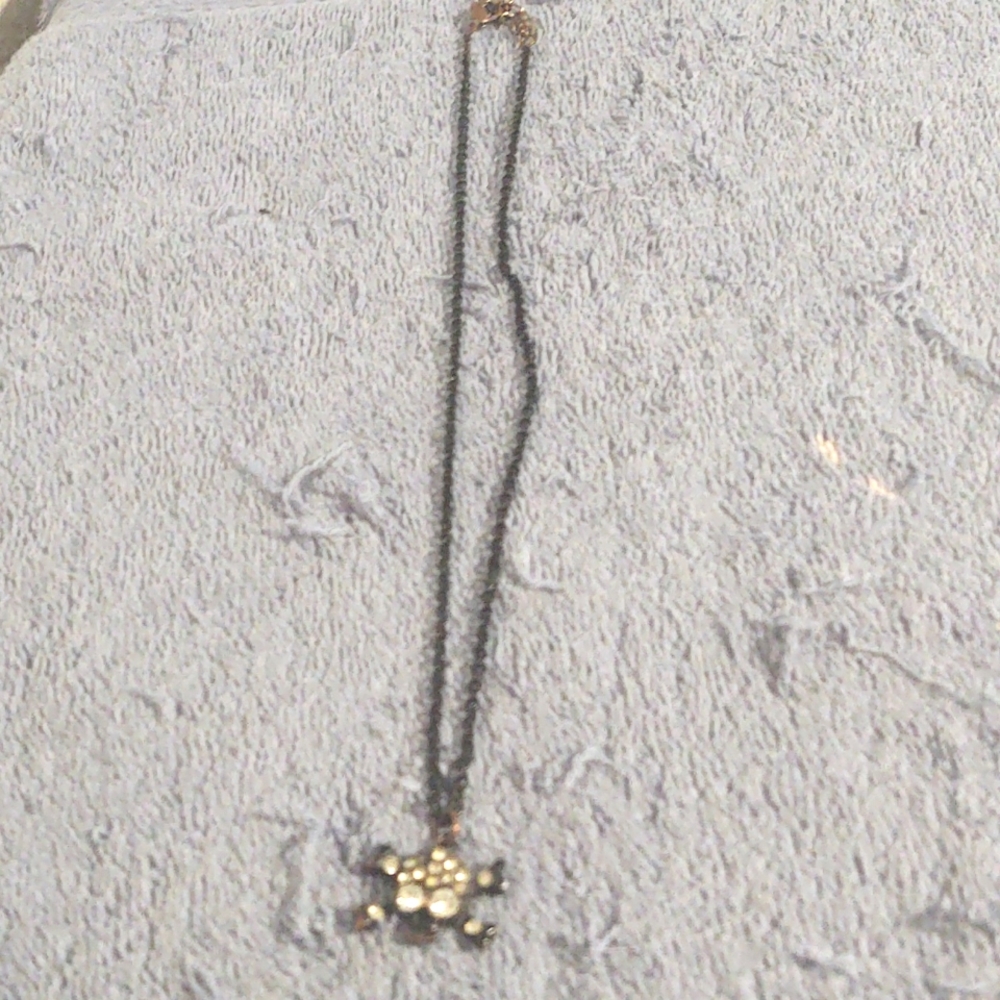 Skull Crossbones 10" Necklace & Extender